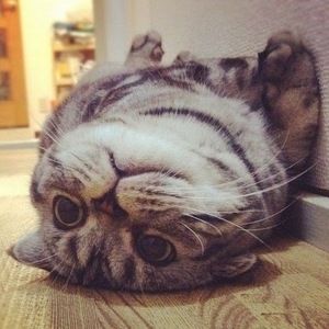 Meet your Posher, Cathy